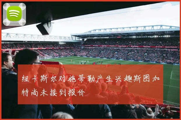 纽卡斯尔对施蒂勒产生兴趣斯图加特尚未接到报价