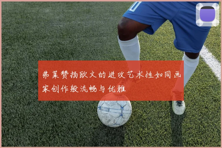 弗莱赞扬欧文的进攻艺术性如同画家创作般流畅与优雅